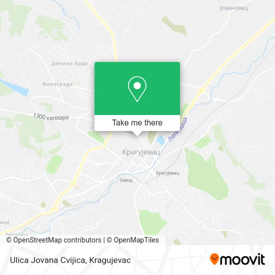 Ulica Jovana Cvijica map