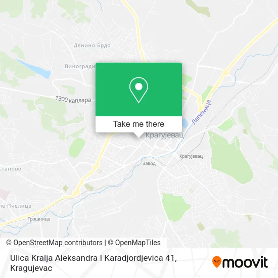 Ulica Kralja Aleksandra I Karadjordjevica 41 map