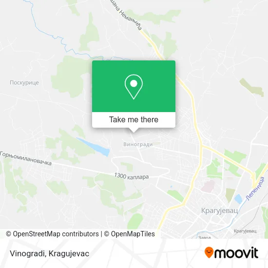 Vinogradi map