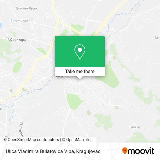 Ulica Vladimira Bulatovica Viba map