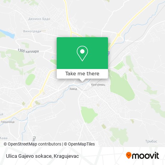 Ulica Gajevo sokace map