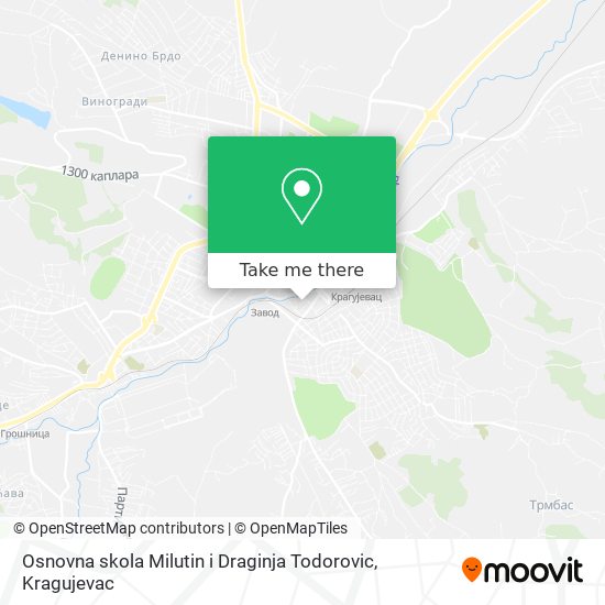 Osnovna skola Milutin i Draginja Todorovic map