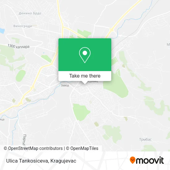 Ulica Tankosiceva map