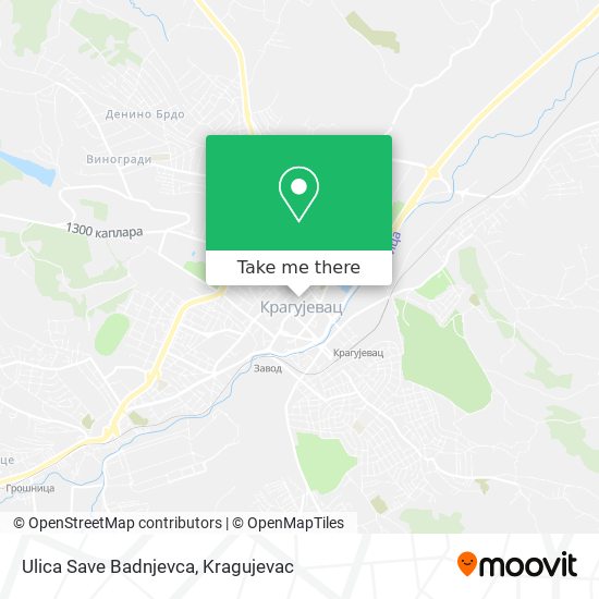 Ulica Save Badnjevca map