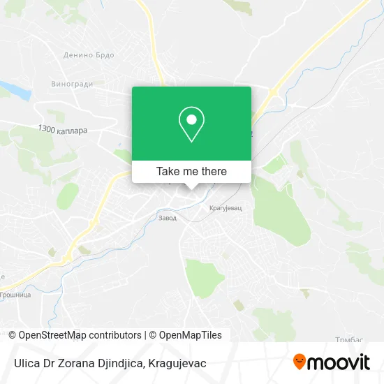 Ulica Dr Zorana Djindjica map