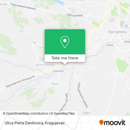Ulica Petra Danilovica map