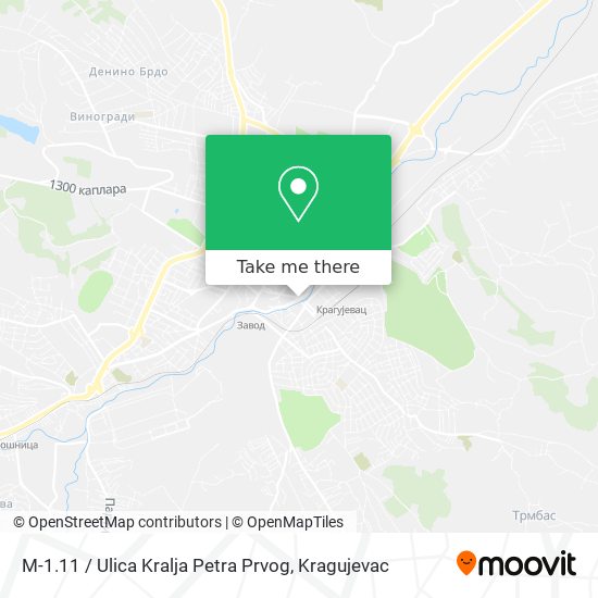 M-1.11 / Ulica Kralja Petra Prvog map