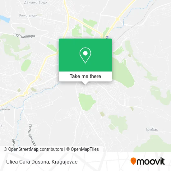 Ulica Cara Dusana map