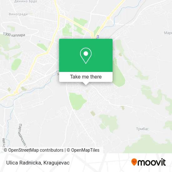 Ulica Radnicka map