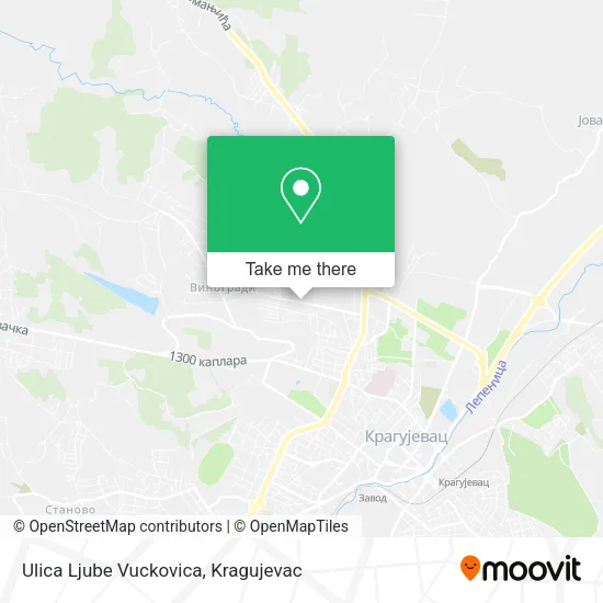Ulica Ljube Vuckovica map
