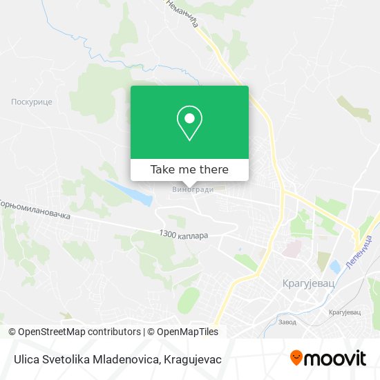 Ulica Svetolika Mladenovica map