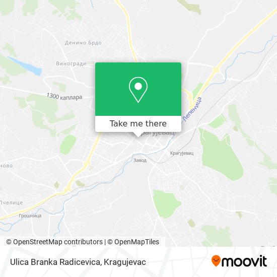 Ulica Branka Radicevica map