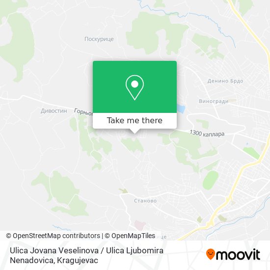 Ulica Jovana Veselinova / Ulica Ljubomira Nenadovica map