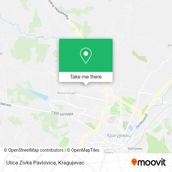 Ulica Zivka Pavlovica map