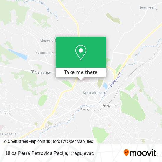 Ulica Petra Petrovica Pecija map