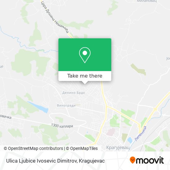 Ulica Ljubice Ivosevic Dimitrov map
