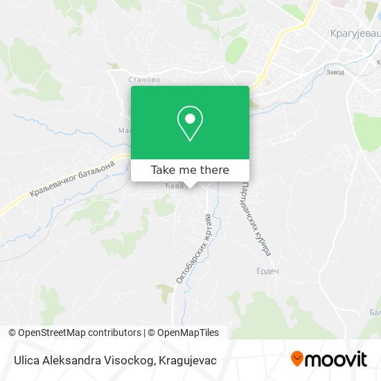 Ulica Aleksandra Visockog map