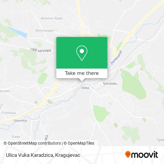 Ulica Vuka Karadzica map