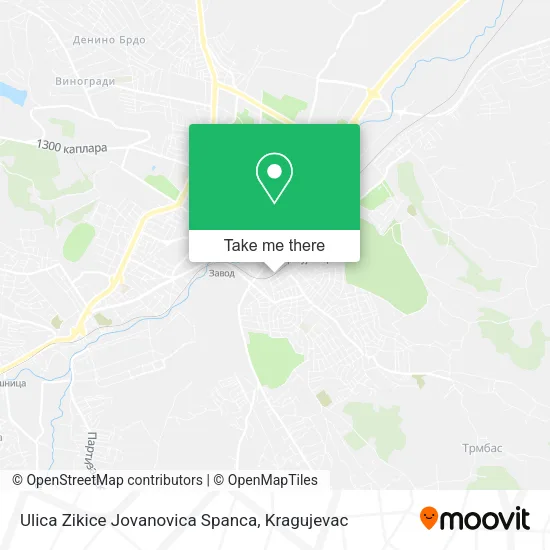 Ulica Zikice Jovanovica Spanca map