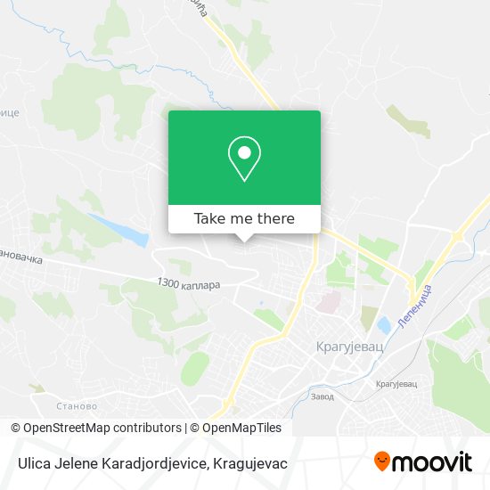 Ulica Jelene Karadjordjevice map