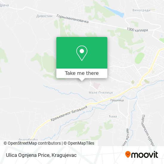 Ulica Ognjena Price map