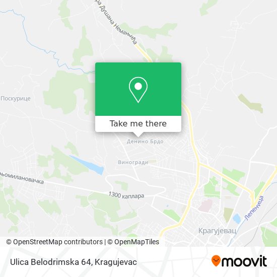 Ulica Belodrimska 64 map