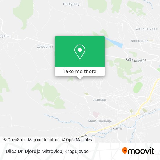 Ulica Dr. Djordja Mitrovica map