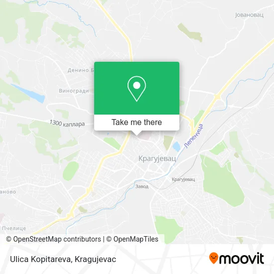 Ulica Kopitareva map