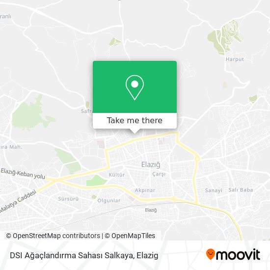 DSI Ağaçlandırma Sahası Salkaya map