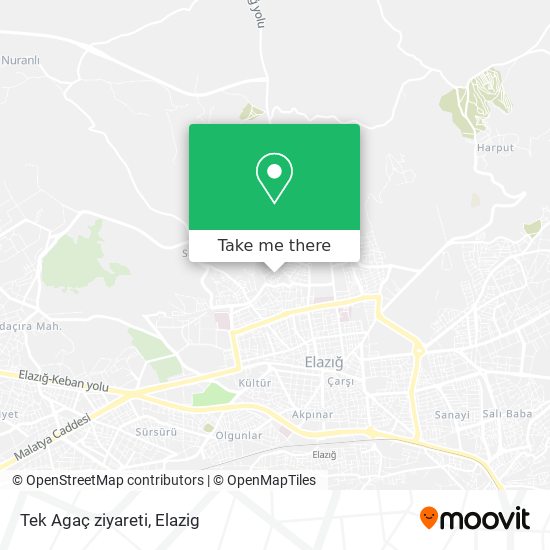 Tek Agaç ziyareti map