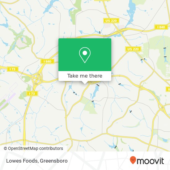 Mapa de Lowes Foods