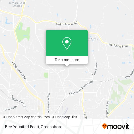 Bee Younited Festi map