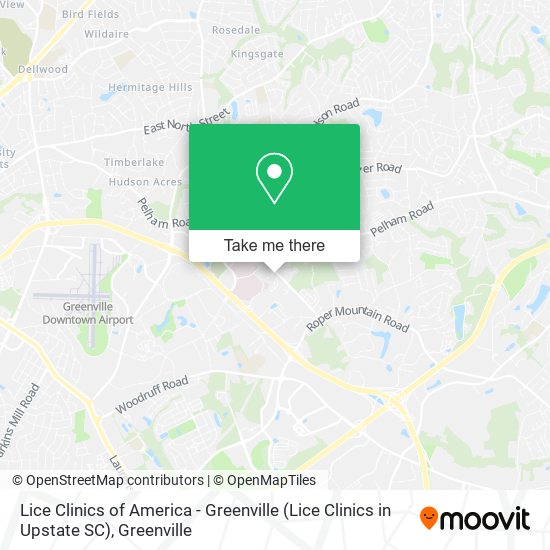Mapa de Lice Clinics of America - Greenville (Lice Clinics in Upstate SC)