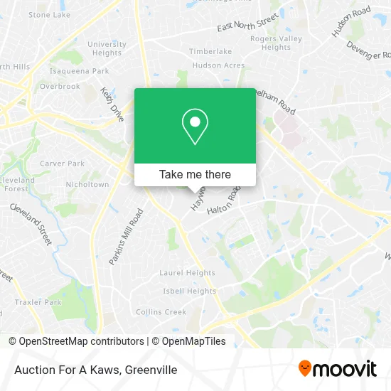 Auction For A Kaws map