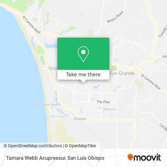 Tamara Webb Acupressur map