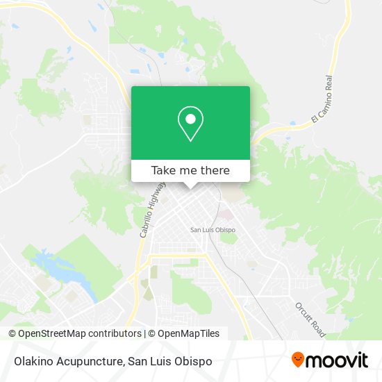 Olakino Acupuncture map
