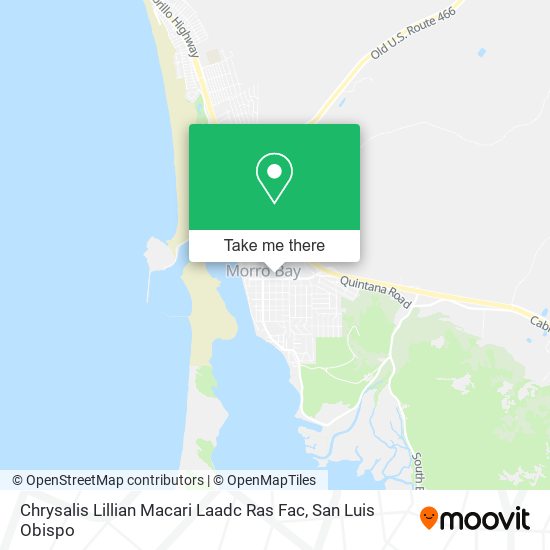 Mapa de Chrysalis Lillian Macari Laadc Ras Fac