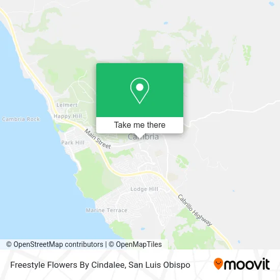 Freestyle Flowers By Cindalee map