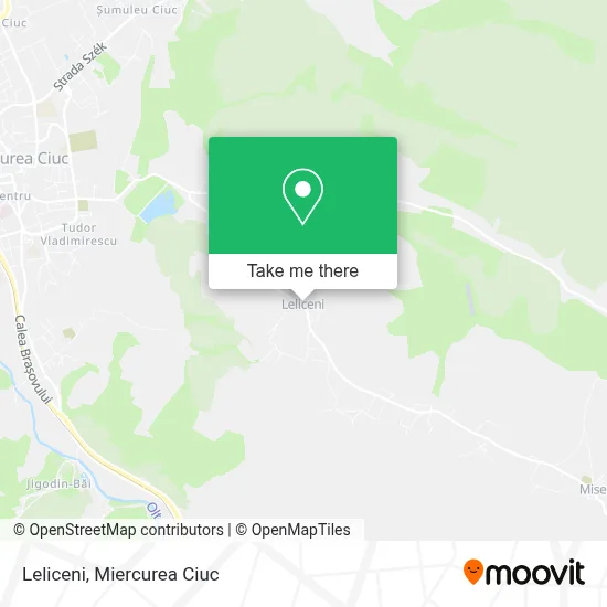 Leliceni map