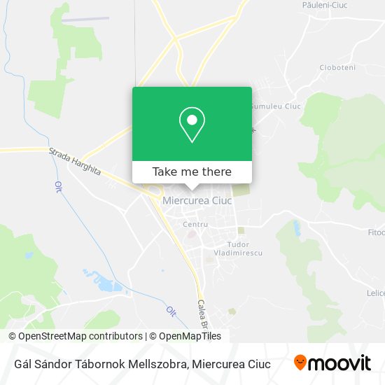 Gál Sándor Tábornok Mellszobra map