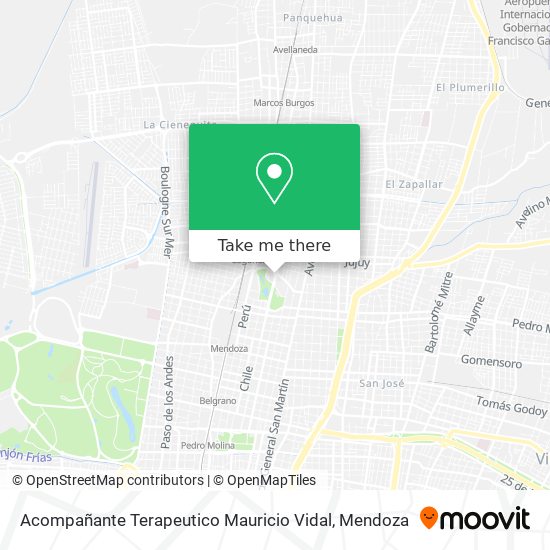 Mapa de Acompañante Terapeutico Mauricio Vidal