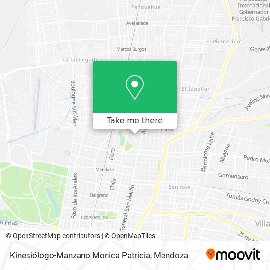 Kinesiólogo-Manzano Monica Patricia map