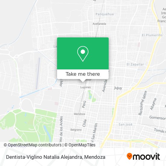 Dentista-Viglino Natalia Alejandra map