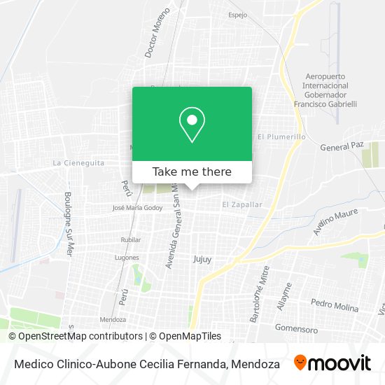 Medico Clinico-Aubone Cecilia Fernanda map