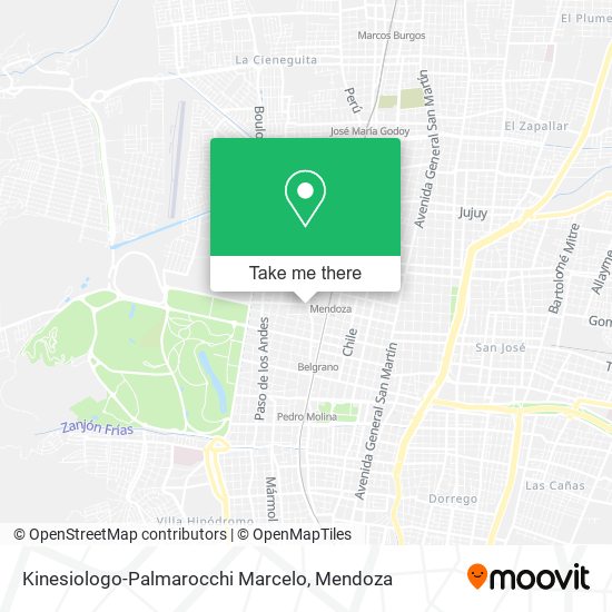 Kinesiologo-Palmarocchi Marcelo map