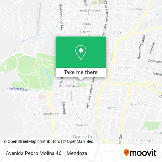 Avenida Pedro Molina 461 map