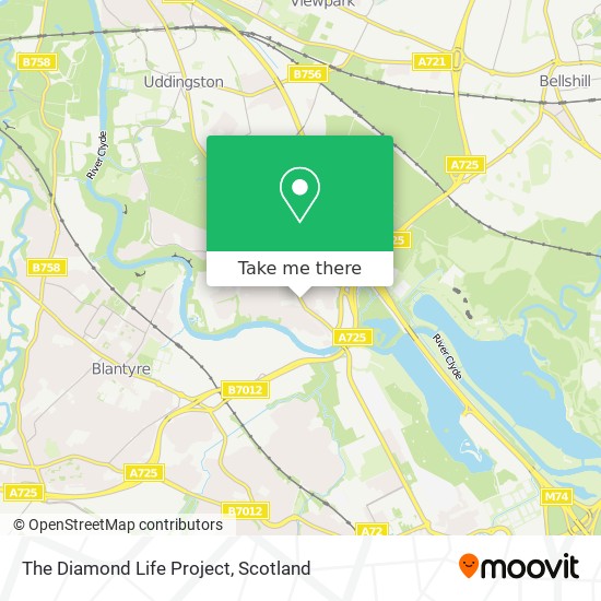 The Diamond Life Project map