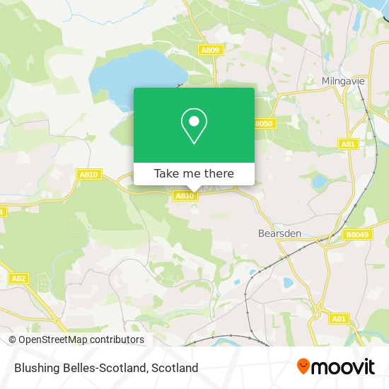 Blushing Belles-Scotland map