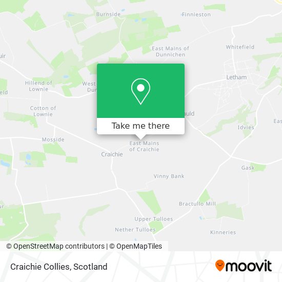 Craichie Collies map