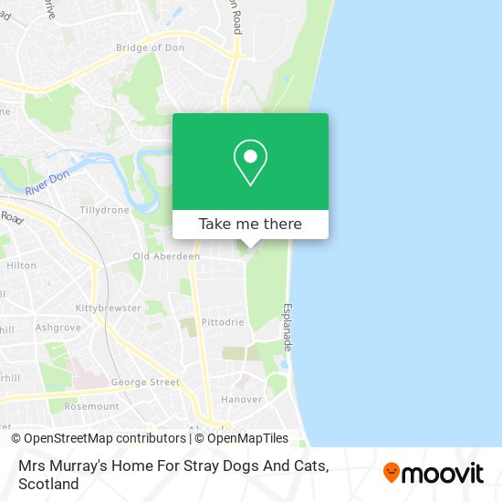 Mrs Murray's Home For Stray Dogs And Cats map